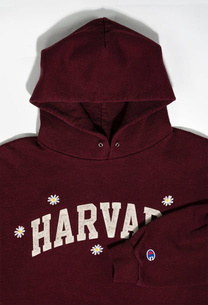 FELPA HARVARD CUSTOM. - Nicolò Puccini